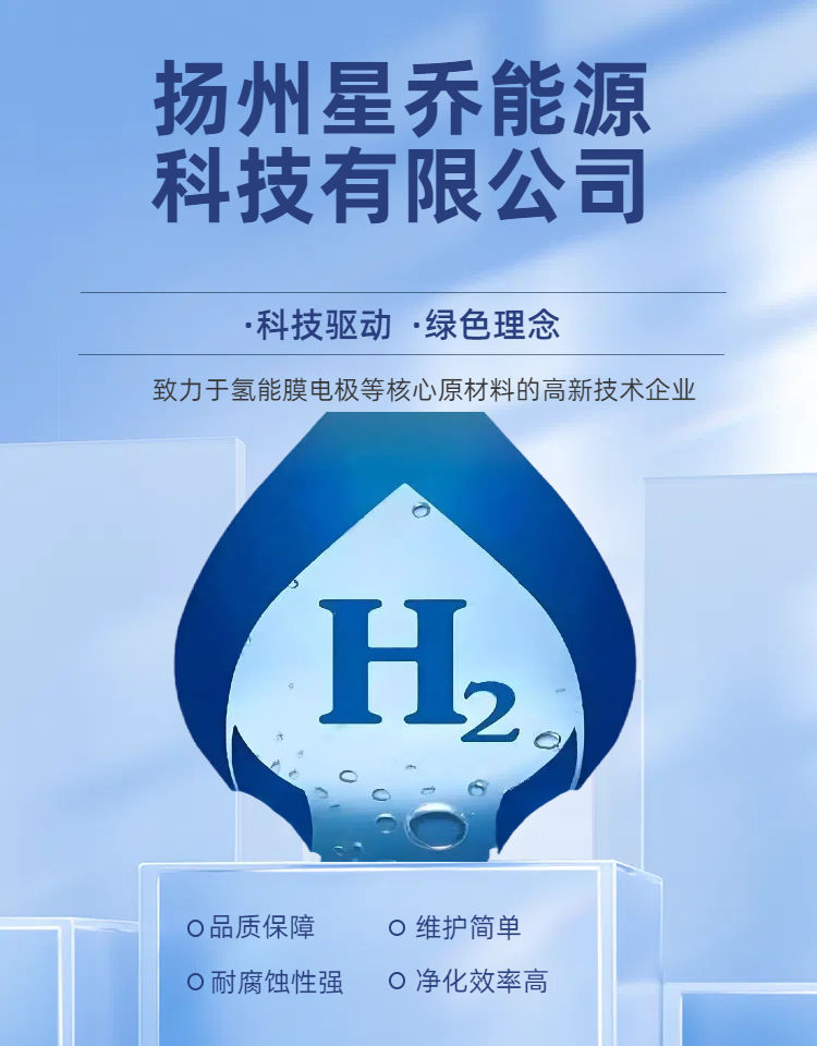星乔发电膜电极