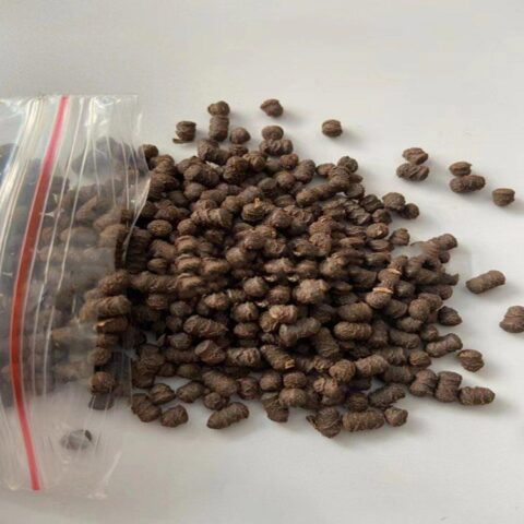 MEA高温膜电极